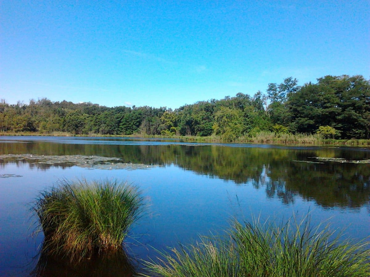 12 Lagoni Park 2025_09_28